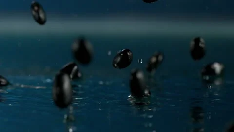Black Beans Bouncing On Water Stock Footage 219465750