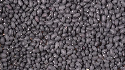 Black beans. Dolly shot Stock Footage 315424156