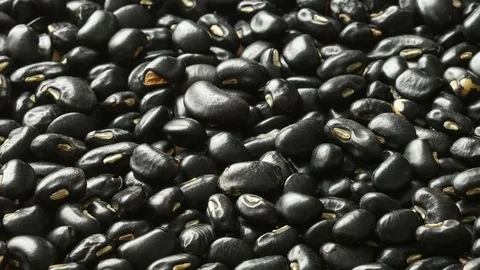 Black beans – dried Stock Footage 71115732