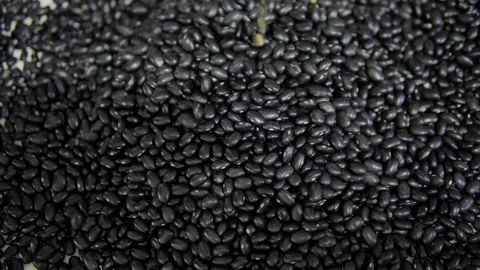  Black beans falling onto a table. Food background. Stock Footage 320406237