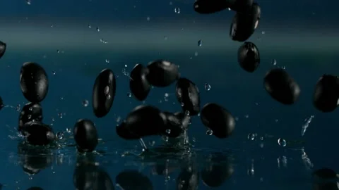 Black beans falling on water Stock Footage 219466215