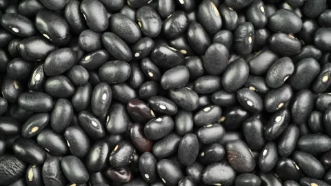 Black beans Stock Footage 344565512