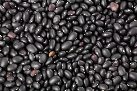 Black beans 스톡 사진