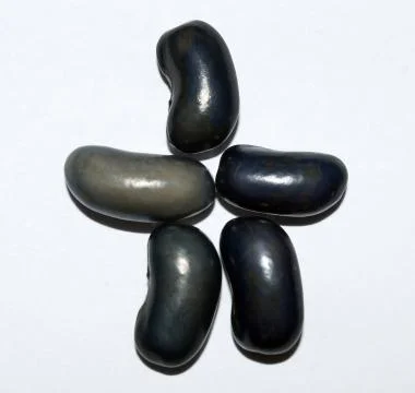 Black beans Stock Photos