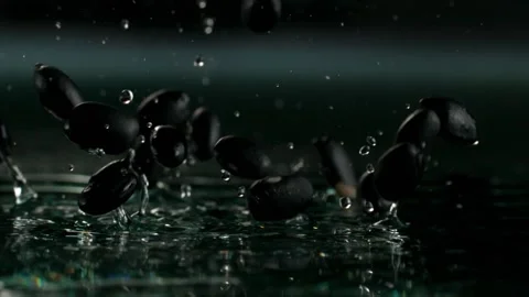 Black beans splashing on water Stock Footage 219466486