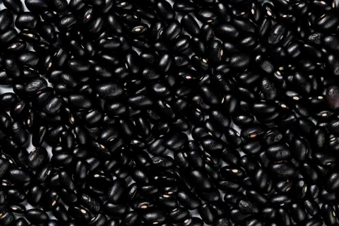 Black beans spread on the table for manual separation Stock Photos