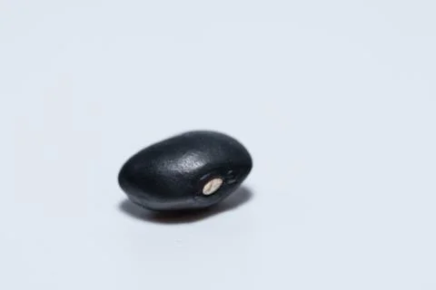 Black beans, white background. Stock Photos