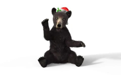 Black bear cub isolated on white background with clipping path Illustrazione stock