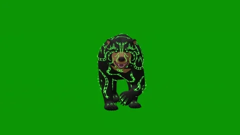 Black bear green screen dog background that sitting panther animated chromakey Video stock 314067757