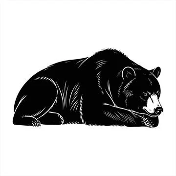 Black bear lying down in a detailed illustration vector Stock Illustration