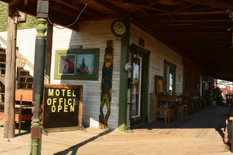 Black Bear Stock Photos