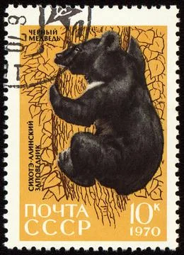 Black bear on post stamp Stock Photos
