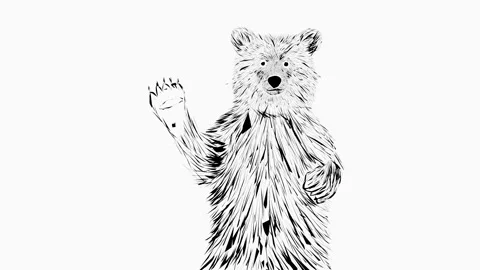 Black bear white background Stock Footage 175224184