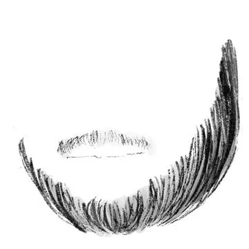 The  black beard isolated on white background Illustrazione stock