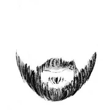 The  black beard isolated on white background Illustrazione stock