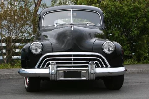 Black beast Stock Photos