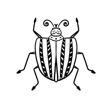 Black beetle in Doodle style. Bug with stripes on its back top view. Simple v Stock Illustration
