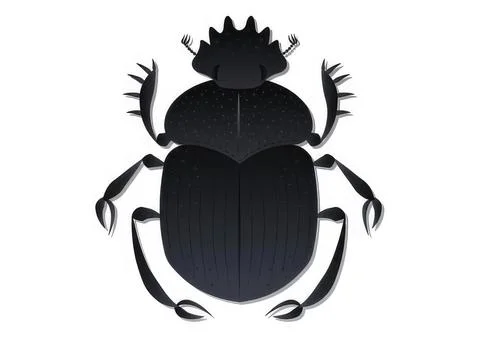 Black beetle insect illustration on white background イラスト素材