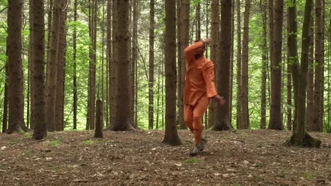 Black Belter Kung Fu Master Practicing In The Forest. - wide shot Stock Footage 306638824