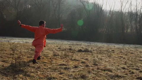 Black Belter Man Practicing Kung Fu Actions In Forest On Sunny Morning. wide Stock Footage 306641180