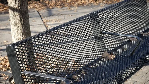 Black Bench Stock Footage 122486844