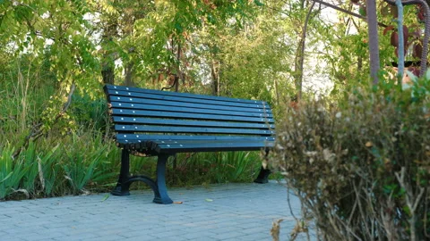 Black bench in the park. Stock-Footage 98610778