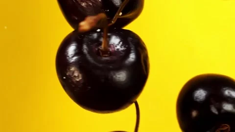 Black berries falling on a yellow background in slow motion Stock-Footage 151118761