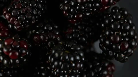 Black berries rotating over gray backdrop, close-up. Macro shot. Stock Footage 327963679