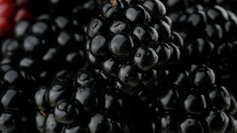 Black berry Stock-Footage 137594771