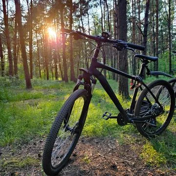 Black bicycle in forest with sun rays Stock Photos