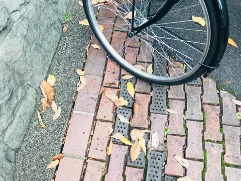 Black bicycle with yellow leaves is on brick road at Tokyo, Japan 写真素材