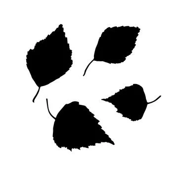 Black birch leaf vector icon on white background Stock Illustration