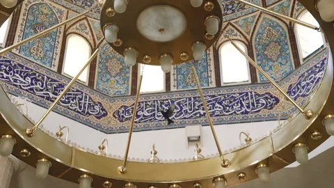 Black bird on the chandelier in the mosque Stock Footage 100985264