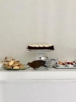 A Black Bird eating at the buffet table Stock Photos