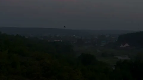 A black bird flies over the forest Stock Footage 179567280