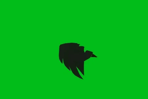 Black Bird Fly - Animation - Hand-Drawn - Green Screen - Loop Stock Footage 68614336