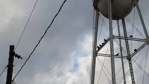 A black bird flying by a water tower on a cloudy day Stock Footage 147309030