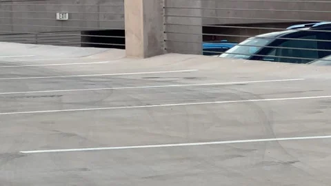 Black Bird Foraging on Parking Garage Deck Stock Footage 344593679