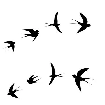 Black bird icon flying Stock Illustration