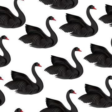 Black bird isolated over white background. Swans silhouette seamless pattern. Ilustração Stock