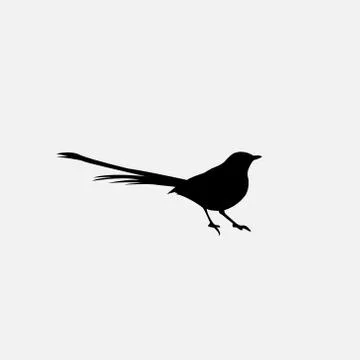 Black bird logo design template Stock Illustration
