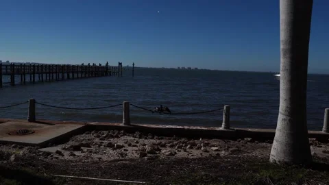 A black bird with open wings perched on a rope at the edge of the large lake. Stock Footage 331318314
