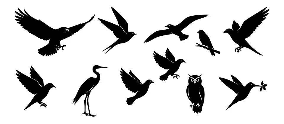 Black Bird Silhouette Design Elements Set Stock Illustration