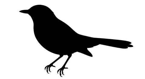 Black Bird Silhouette Vector Isolated on White Background Stock Photos
