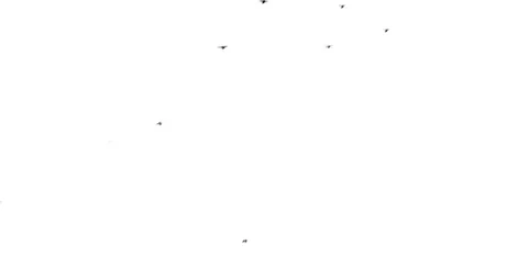 Black birds fly from the bottom left corner to the right top Stock Footage 86793098