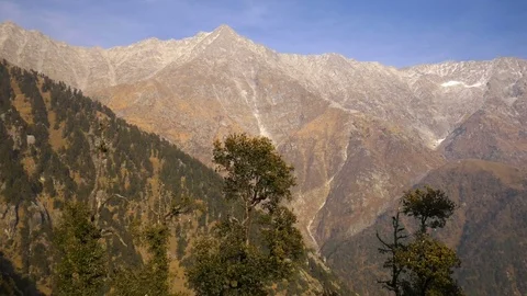Black birds in the tree on mountains Stock Footage 75246920