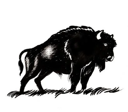 Black bison Stock Illustration