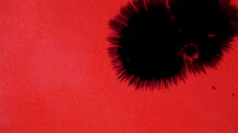 Black blotch on the red background Stock Footage 10595257