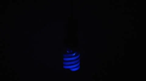 Black-blue light blinking lamp. Stock Footage 8891723
