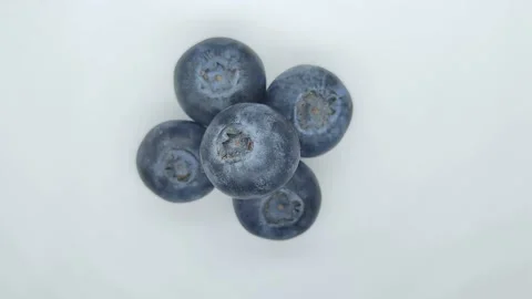 Black blueberries on a white background Stock Footage 167026243